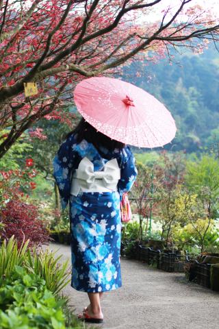 Johnson(強生)多媒體工作室 - 竹子湖海芋櫻花浴衣秀