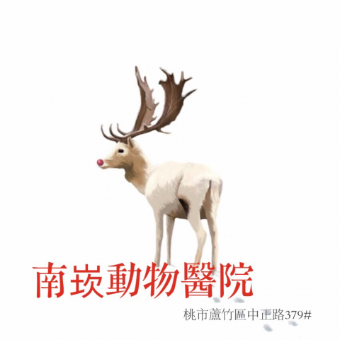 南崁動物醫院
