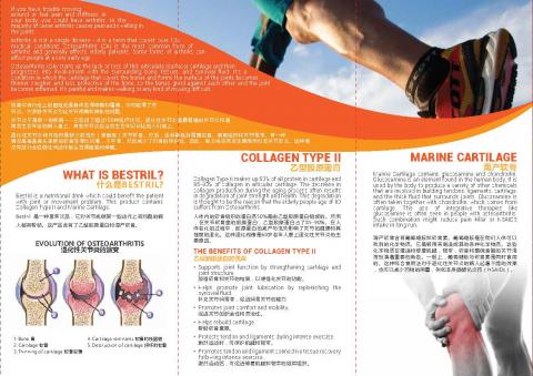 拾號工作室 - 保健品DM反面