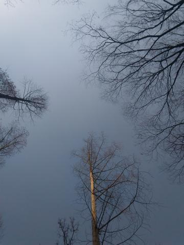 黃郁寍 - 修圖後製