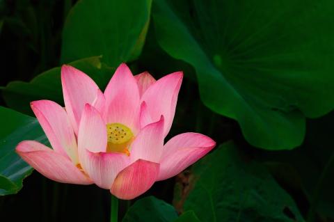 Katoh攝影工作室(婚攝/商攝) - 風景攝影作品