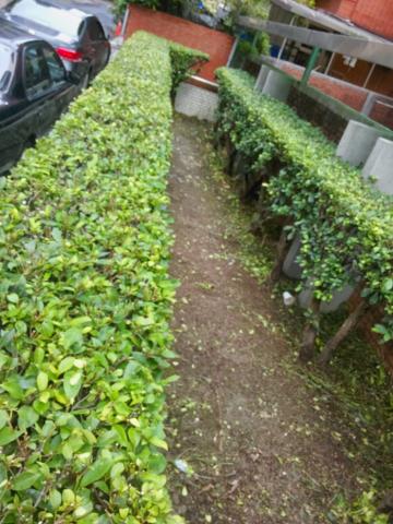 台元造景有限公司 - 