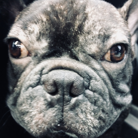 提供3d掃描費用服務的專家江文淵