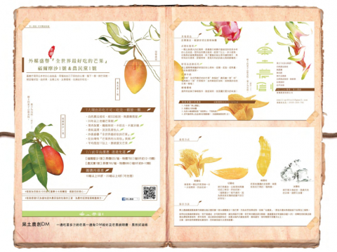 林彥菱設計工作室 - dm設計＿a4大小
