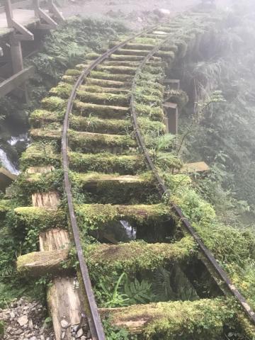 里奧-車驛站專業駕駛 - 帶客旅遊-宜蘭太平山