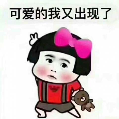 提供寄養服務的專家新竹貨運