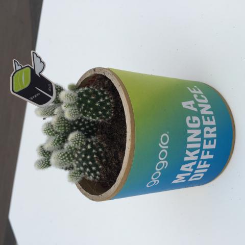 Lily Lin - 永續植栽活動