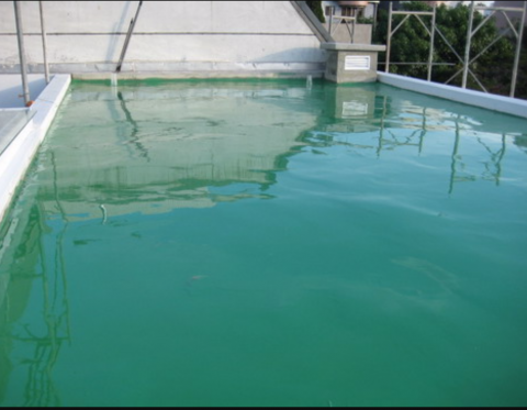 歐克威工程有限公司 - 頂樓地板PU施工