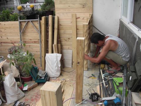 可漢國際科技有限公司 -  作庭院南方松,但感覺它在找什麼?蝸牛嗎!