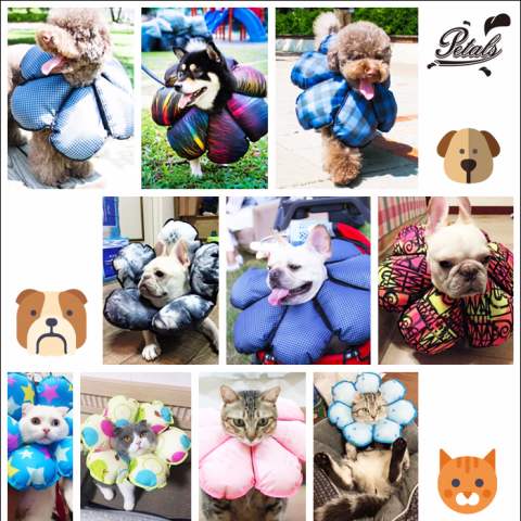 宏諺國際有限公司 - PETALS花朵寵物頭套，從商品拍攝與後製，文案撰寫與活動提案，目前於各大網購平台熱銷中。