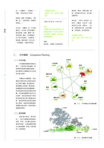 Nathanizelin - 文字排版 | 頁面
