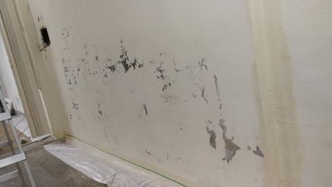 胡毅夫 - 壁癌處理