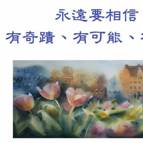 提供momo包包服務的專家Chan Momo