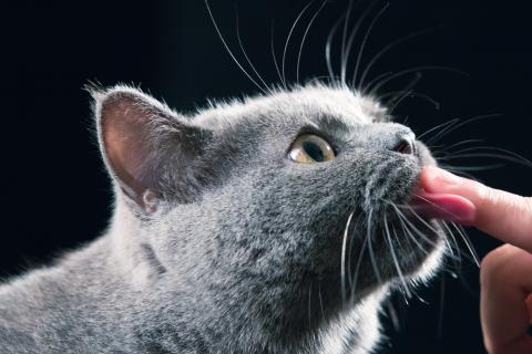 九月四日影像工作室 - 