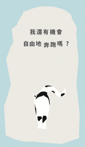 玩食視覺 - 祈禱之語-浪貓手術募資宣傳形象