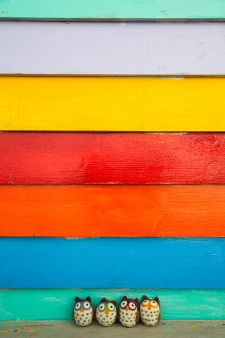 荒島有鹿影像工作室 - 羊毛氈情境照-7