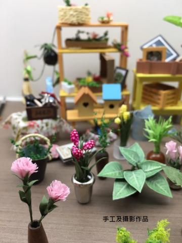 林小姐 - 純手作迷你屋植物盆栽