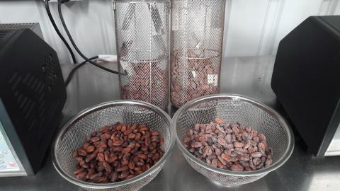 樂布朗巧克力工坊/Garfield Yeh - 烘豆準備