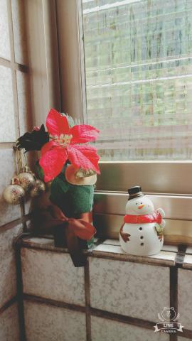 林稚羚 - 雨天聖誕