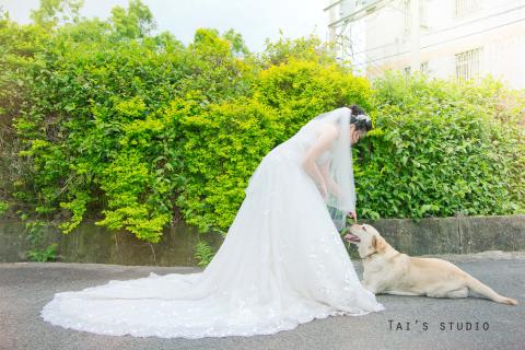 阿泰汪汪 - Tai's Studio  - [婚禮紀錄]
家人
