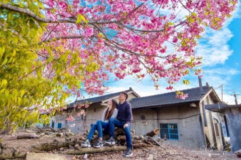 黃世昕 - 櫻花戀人