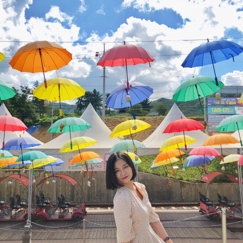 提供剪片apppc服務的專家張安琪