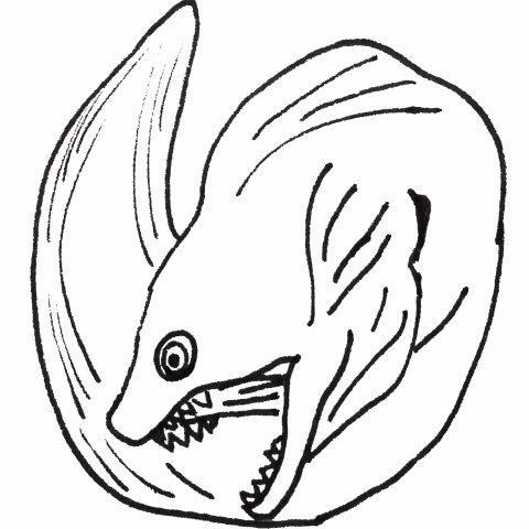 提供速寫筆服務的專家鯙