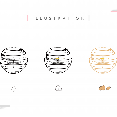 許佳欣 - 作品集內頁截圖 / 如需看完整作品可直接聯絡