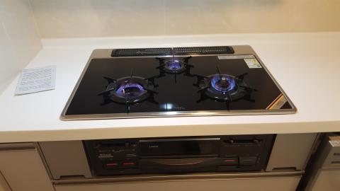 國品居家修繕 - 新北市新莊區林內爐連烤瓦斯爐按裝