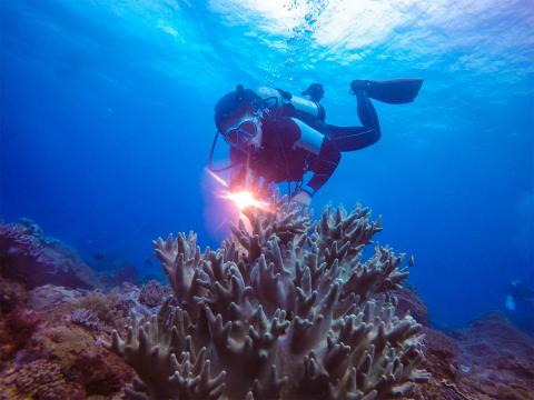 墾丁環礁潛水(旅)中心 - SSI國際潛水證照課程