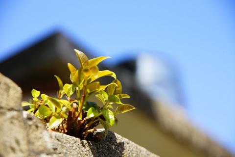 個人工作室 - 淡水老街