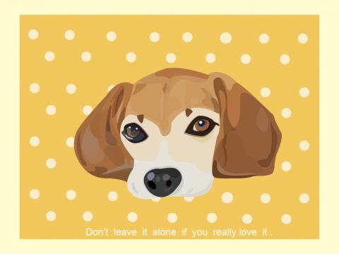 許嘉文 - 明信片設計