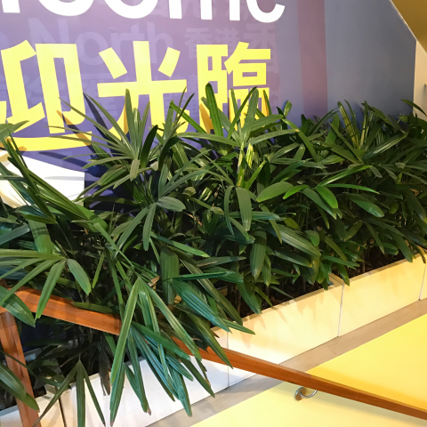 劉園 園景工作室 - 台中儲存易店家 
地下入口迎賓綠化