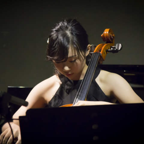 提供臺南景點服務的專家林芮沂