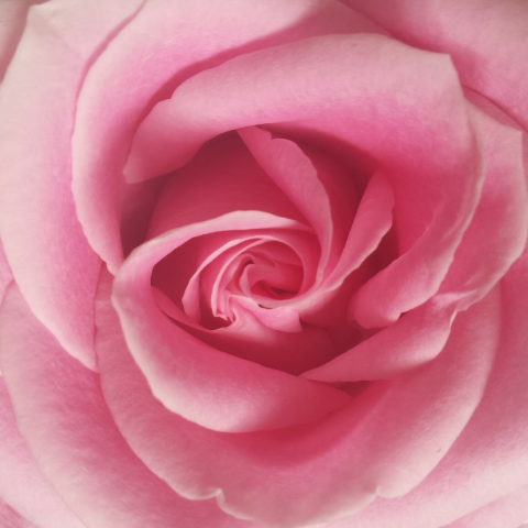 提供中壢護膚服務的專家美妍護膚工作室