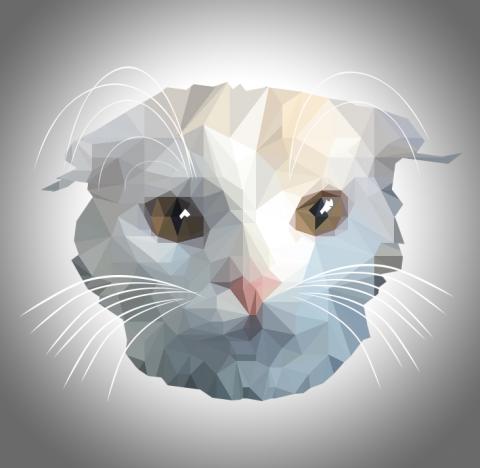 ChenHuan  - LowPoly Portrait