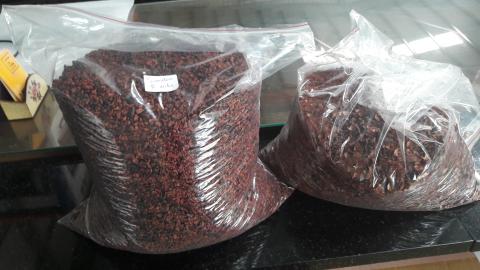 樂布朗巧克力工坊/Garfield Yeh - 破殼風選　分出豆仁及豆殼