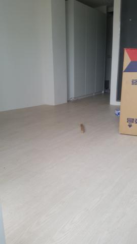 巢寓有限公司 - 禾璞空間設計中原套房案
塑膠地板-架高
架高打底堅固耐用絕不偷工減料