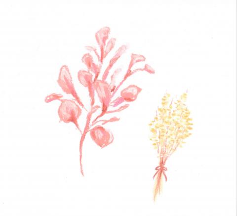 城惠琪 - 花卉插圖