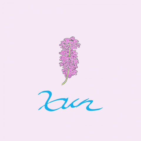 提供網頁版fb登出服務的專家Xun