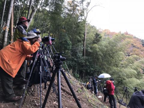 旅行社 - 帶攝影團至日本中國地方，從關西機場進，沿途走過神戶、淡路島、德島、小豆島、岡山、廣島、山口、福岡等地方，為的就是捕捉美麗的紅葉景色及蒸汽火車珍貴畫面，一行人收穫滿滿回寶島台灣。

照片為拍睽違40年的山口蒸汽火車。