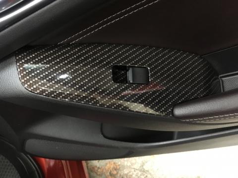 緯紳極致車體包膜 - 內裝Carbon(亮面霧面皆可施作）
