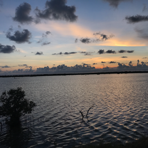 提供1028濃縮咖服務的專家林小咖