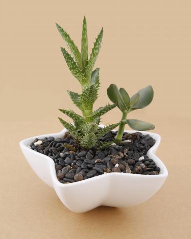 專業修圖工作室 - 