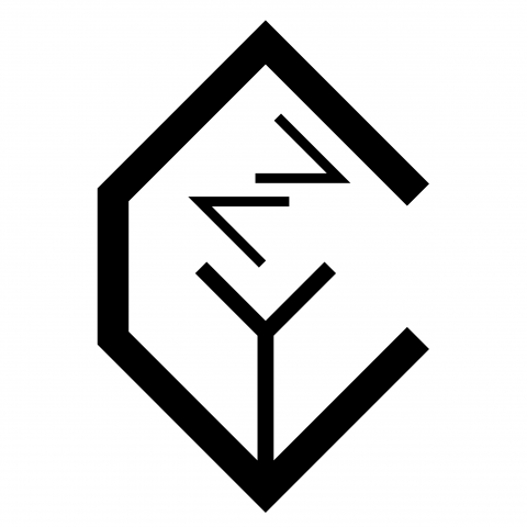 提供高中歷史服務的專家陳姿妤