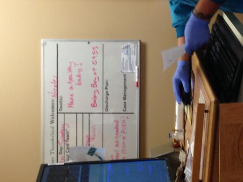 Artemis - 亞利桑那州產房-見證生命的誕生。