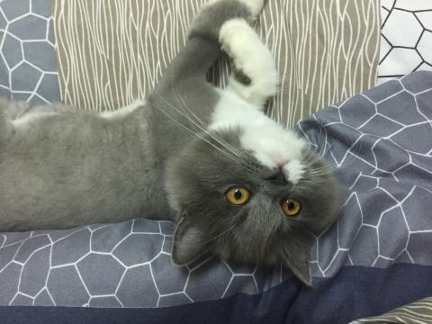 文文 - 波妞呀❤️