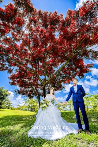 椿獨立影像攝影工作室 - 