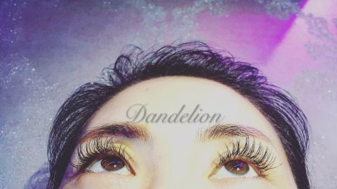 Dandelion 蒲公英時尚美學工作室 - 