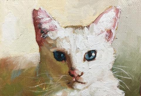 張駿業（陽台藝術設計） - 動物寵物